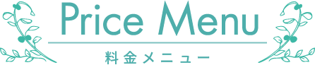 料金メニュー（税別）